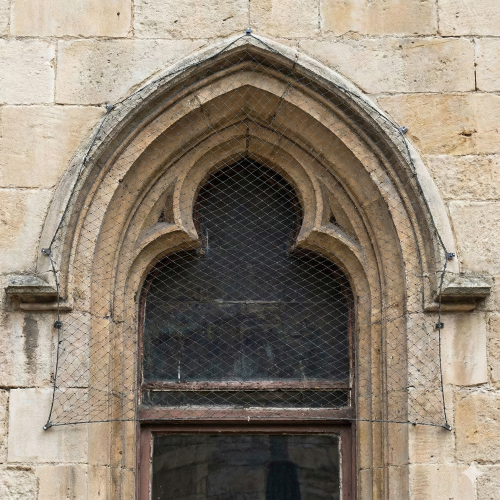 Gemini_Generated_Image_1tzwrx1tzwrx1tzw (1)