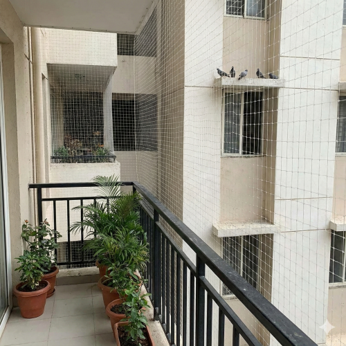 Gemini_Generated_Image_1tzwrx1tzwrx1tzw